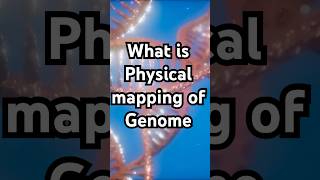 What is physical mapping of a genome [upl. by Nonnair]