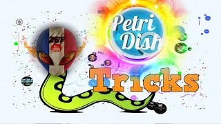 Petri Dish FR  Чашка Петри  SnakerDish Tricks amp Password of Zef Fan [upl. by Arual412]