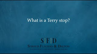 What is a Terry stop [upl. by Thunell]