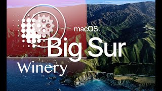 Run Windows App under MacOs big sur by wineskin  2021 Mar Detailed [upl. by Boatwright]