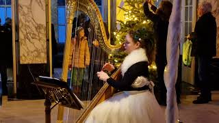 Mechteld Karlien de Jongh Erard Concert Harp  Zorgvlied amsterdam [upl. by Mccord913]