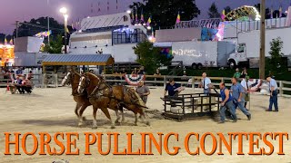 🇺🇸 4K Draft Horse Show amp Horse Pulls Heavyweight horse pulling competition 2024 Draft horse pull [upl. by Osrock]