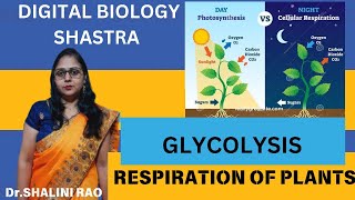 Glycolysis II Respiration II Std11Th amp 12Th II Biology II DrShalini Rao II Digital Biology Shastra [upl. by Natty38]