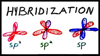 sp3 sp2 and sp Hybridization [upl. by Jeuz648]