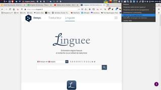 Tutorial How to use Linguee [upl. by Amal]