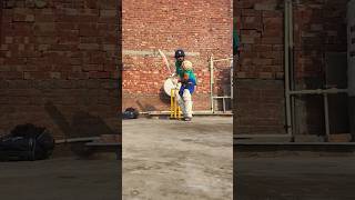 Practice Day 1  quotCorporate Cricketquot shorts cricket batsman [upl. by Hesther]