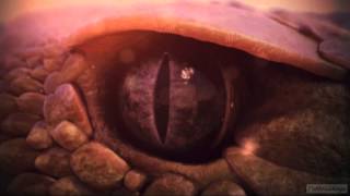 Nat Geo Wild HD Idents 2013  Nordic  Central Europe [upl. by Sherris]