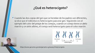 🌿Ejercicios Leyes de Mendel y cuadro de Punnett Fácil y Rápido  BIOLOGÍA [upl. by Leanora]