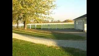 Doomsday Preppers Aint Got Nothing On The Amish Preppers [upl. by Orlando346]