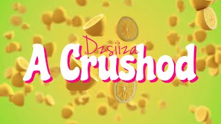 Dzsiiza  A crushod [upl. by Dorothea]