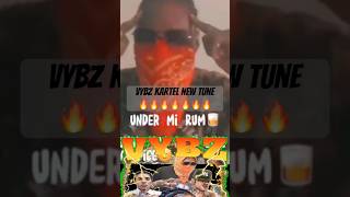 Vybz Kartel shares a preview of NEW tune lyric video 💪🏾💪🏾🔥🔥🔥vybzkartel dancehall reggae [upl. by Eilahs891]