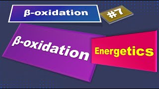 Energetics of Beta oxidation biochemistry [upl. by Noryk]