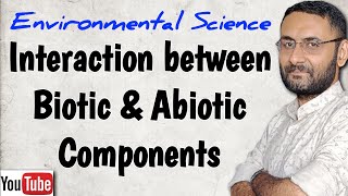 Biotic and Abiotic components of Environment  Relation  Environmental Science Studies  EVS [upl. by Aleac]