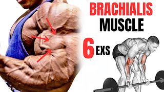 5 BEST BRACHIALIS WORKOUT AT GYM FASTER [upl. by Inamik609]