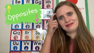 OPPOSITES Video 1 of 4  Preschool and Kindergarten ACTIVITY Ideas [upl. by Vitek11]