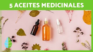 5 ACEITES MILAGROSOS para MEJORAR TU SALUD 💚🌼 Aceites de Plantas Medicinales [upl. by Celik]