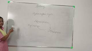 Hydrological Cycle  Class Seminar [upl. by Oswal]