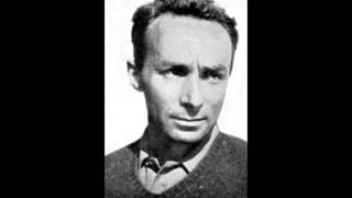 Primo Levi  Se questo è un uomo  La storia di Lorenzo [upl. by Dita]