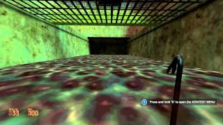 Garrys Mod  Old HL2 Beta HUD [upl. by Tniassuot]