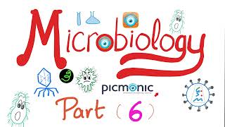 Microbiology  Moraxella catarrhalis Neisseria gonorrheae Neisseria meningitidis Picmonic Part 6 [upl. by Nylla]