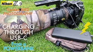 NIKON Z9 Powerbank Charging  Garden Bird Photography  USBc Power [upl. by Pelagia]