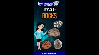 Types of Rocks  Igneous Sedimentary Metamorphic Rocks  Geography  Science shorts [upl. by Ahseikal]