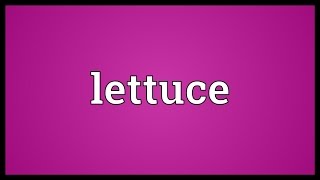 Lettuce Meaning [upl. by Eydie]