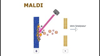 Spectrométrie de masse  05 Ionisation Laser Assistée par Matrice MALDI [upl. by Nolrac]