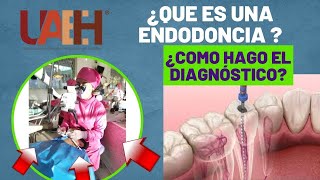 ¿QUE ES UNA ENDODONCIA y ¿COMO HACER EL DIAGNÓSTICO [upl. by Ahscrop715]