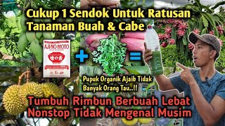 Cukup 1 Sendok Untuk Ratusan Tanaman Buah Tumbuh Subur Rimbun Berbuah Lebat Nonstop‼️ [upl. by Yarahs810]