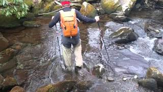 Wiggys Waders on Madron Bald Trail [upl. by Barbur245]