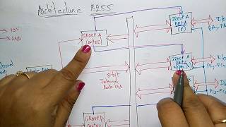 8255 programmable peripheral interface  Architecture  part 12 [upl. by Goldston513]