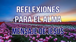 REFLEXIONES PARA EL ALMA  MENSAJE DE JESÚS [upl. by Heer]