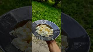 Delicious Yogurt Pudding in Minutes 😋 yogurt yogurtdessert pudding puddingrecipes shorts [upl. by Aerdno815]