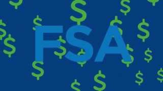 Flexible Spending Accounts FSAs [upl. by Gnahc]