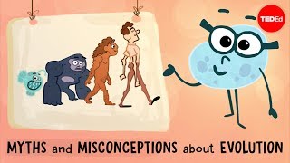 Myths and misconceptions about evolution  Alex Gendler [upl. by Enicul]