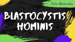 Blastocystis hominis [upl. by Aremahs990]