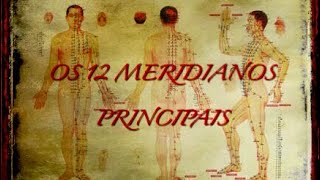 OS 12 MERIDIANOS PRINCIPAIS Canais de Energia na Medicina Tradicional Chinesa [upl. by Urd]