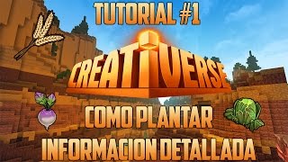 Creativerse Tutorial 1  Español  Como Plantar  Información Detallada  SeLe69 [upl. by Assisi]