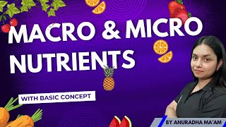 MACRO NUTRIENTS amp MICRO NUTRIENTS  Basic concept  by ThePrepZone nutrients NCERT biology [upl. by Fairweather]