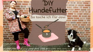 quotDIYquot Hundefutter selber kochen [upl. by Glaab]