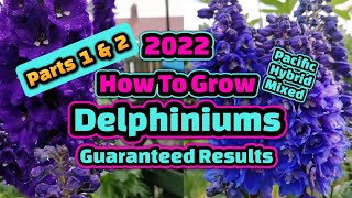 How to sow amp grow Delphiniums part 1 amp 2 [upl. by Nahtanoy]