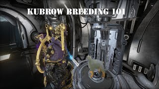 Warframe Kubrow Breeding [upl. by Wicks828]