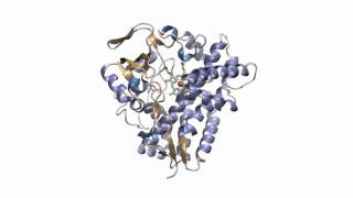 P450 enzyme PikC adopts closed conformation upon substrate binding [upl. by Naquin140]