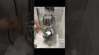 What our school toilet need tiktok school toilet [upl. by Nomsed307]