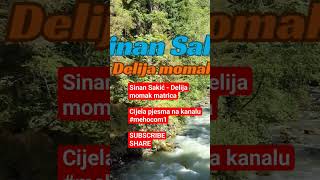 Sinan Sakić  Delija momak MATRICAshorts music cover instrumental matrices karaoke [upl. by Grof]