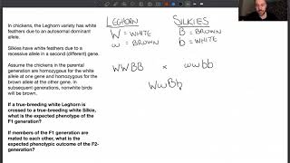 Solving epistasis problems [upl. by Mountfort]