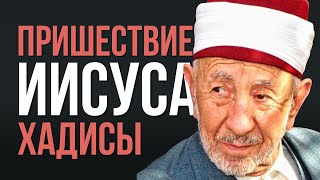 УРОКИ АКЫДЫ 46 Второе пришествие Исы Достоверные хадисы Описание Исы  Шейх Рамадан альБуты [upl. by Spiros]