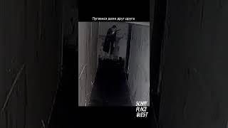 Квест «Babadook» МСК Наш тгкSCARY PLACE квесты хоррорквестыхоррор страшныеквесты квестымск [upl. by Diena847]