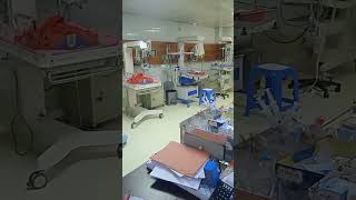 NICU NEONATAL INTENSIVE CARE UNIT [upl. by Aronle615]